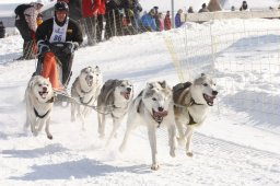 Lenk 2012 SM